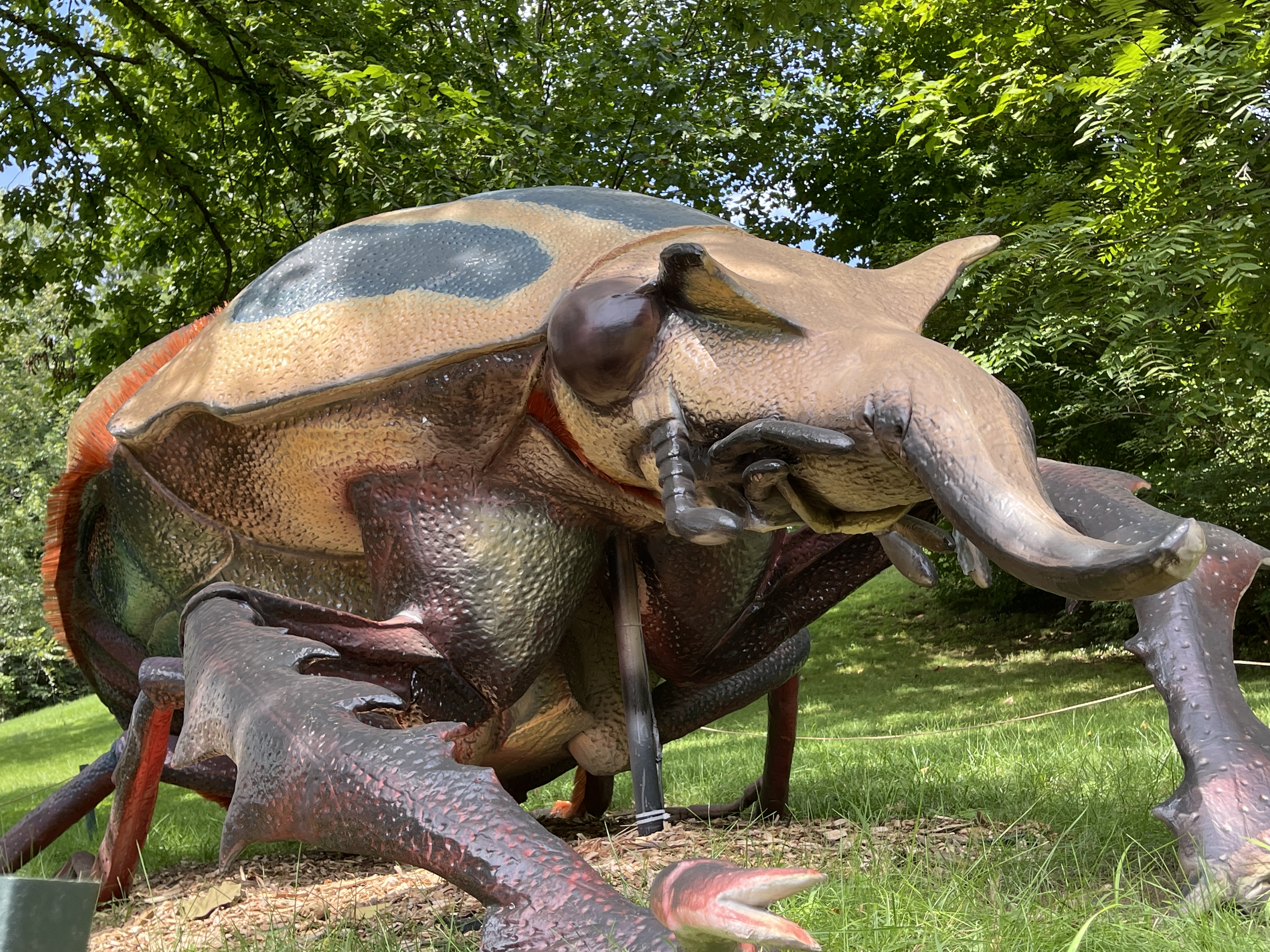Insectopia