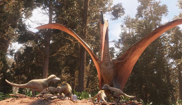 Ultimate T. rex
