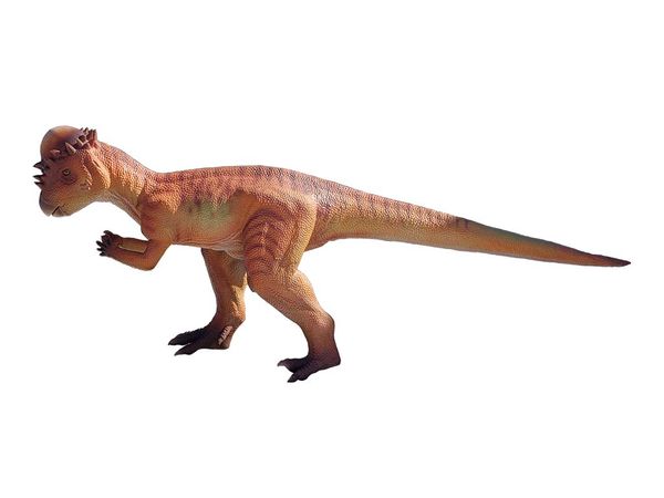 Pachycephalosaurus