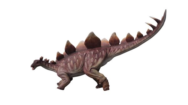 Stegosaurus