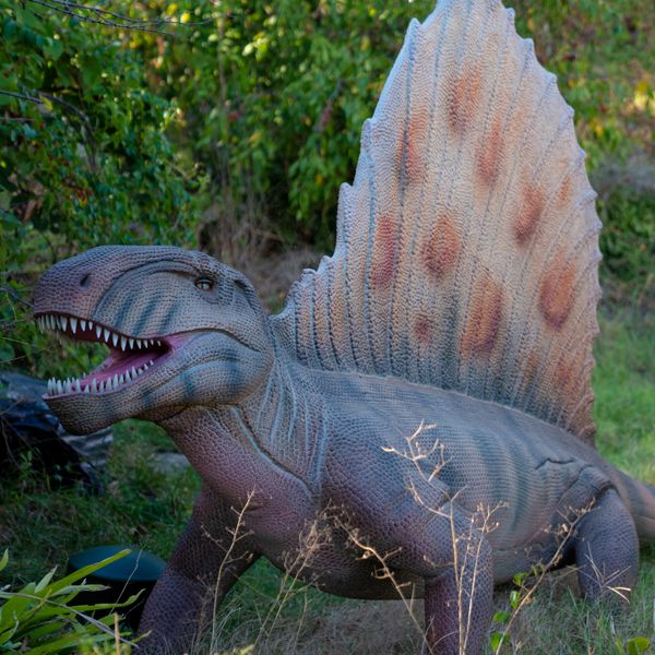 Dinos To Dodos