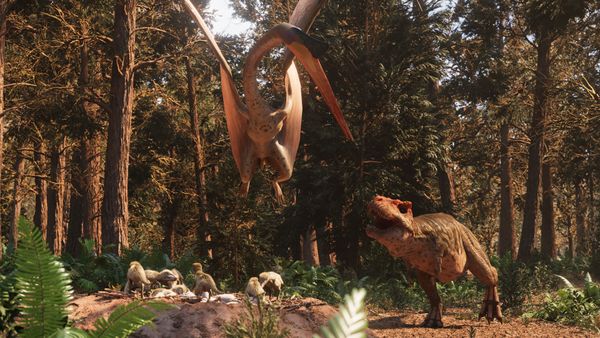 Ultimate T. rex