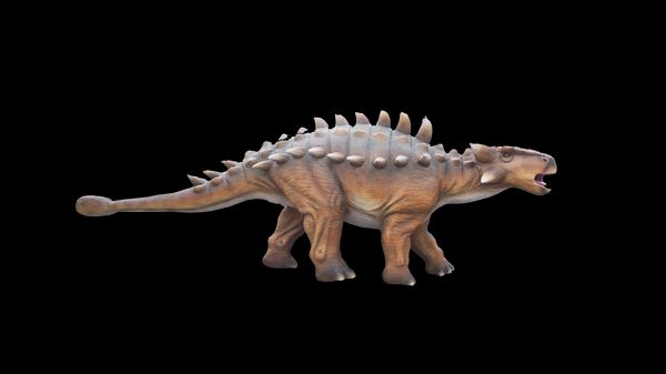 Ankylosaur