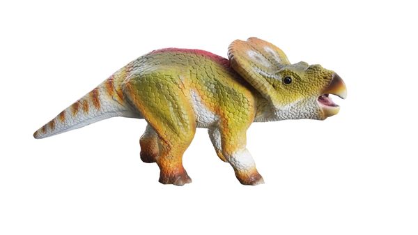 Juvenile Pentaceratops