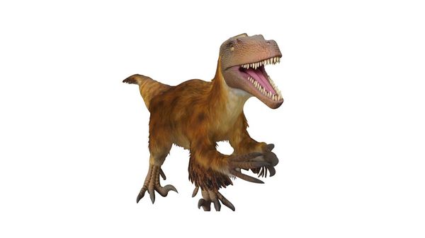 Velociraptor
