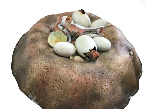 Nest & Pop-up Chicks
