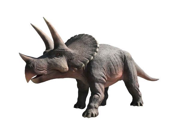 Triceratops