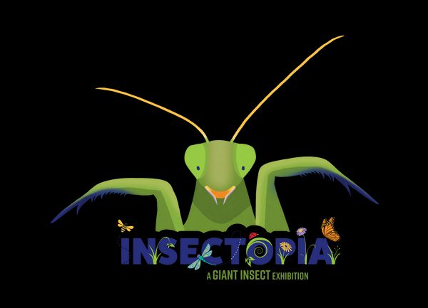 Insectopia