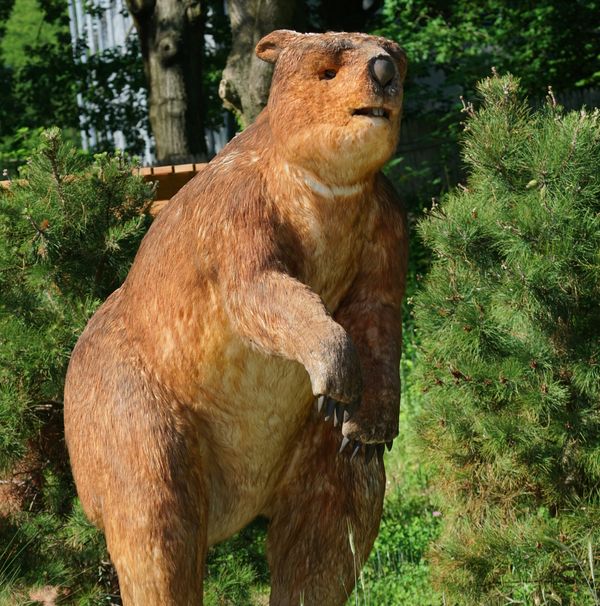Dinos To Dodos